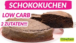 Der 2 Zutaten Schokokuchen Low Carb Schokokuchen ohne Mehl backen I Einfache Low Carb Rezepte [upl. by Iduj]