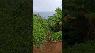 Hawaii kauai Turtle cave 🐢🤙✨️ [upl. by Wilmott]