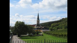 16  Wanderung durch die Weinberge zur THERESIENWARTE in BADEN [upl. by Wilterdink]