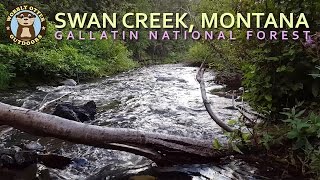 Medicine Mt Wyoming amp Swan Creek in Montana Gallatin National Forest [upl. by Trevlac928]