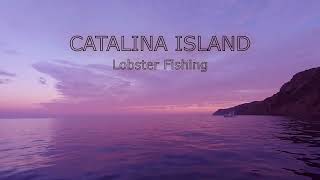 Catalina Island Lobster Fishing [upl. by Anek]