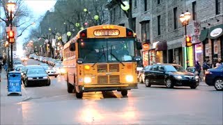 CANADIAN SCHOOL BUSES IN ACTION  BONUS [upl. by Duahsar]