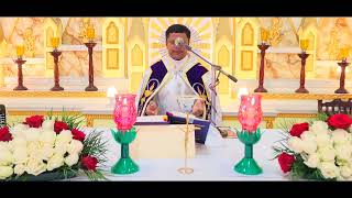 Holy Mass December 01 Friday I 530 AM I Malayalam I Syro Malabar I Fr Bineesh Augustine [upl. by Brandice905]