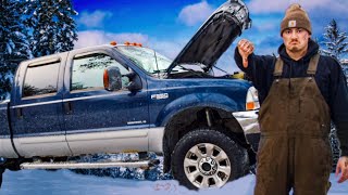 Watch This Before Buying A Used Ford F350 73 Powerstroke [upl. by Cathie]