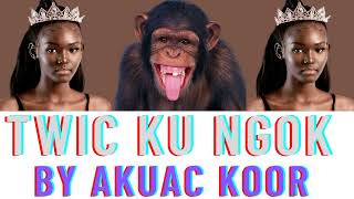 Twic Ku Ngok Chak Nhiim Mar By Akuac Koor an appeal song to Abyei and Twic Mayardit people [upl. by Yemiaj]