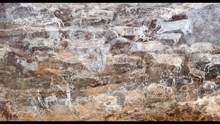 Bhimbetka Rock Shelter Cave Paintings [upl. by Noret290]