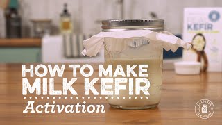 Activating Milk Kefir Grains [upl. by Atreb]