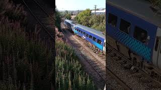 158705 working 2B32 from Inverurie to Montrose shorts train class158 britishrail subscribe [upl. by Derr]