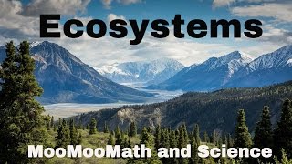 What are Ecosystems [upl. by Gaylord640]