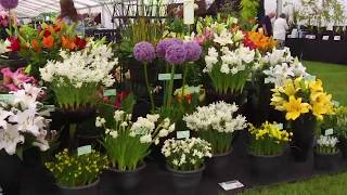 Blenheim Palace Flower Show [upl. by Annawot673]