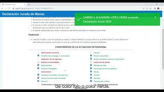 Indicaciones generales para el llenado de la declaración jurada [upl. by Anyotal]