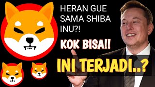 TERJADI LAGI  💥 SHIBA INU SHIB  ARMY Harus Tau [upl. by Aroled]