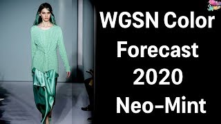 WGSN 4th Color Trend Forecast 2020  NeoMint [upl. by Wengert]