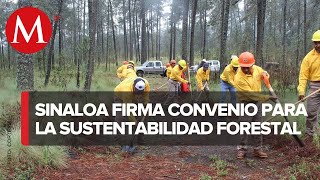 Gobierno de Sinaloa firma convenio con Conafor para sustentabilidad forestal [upl. by Yorled969]