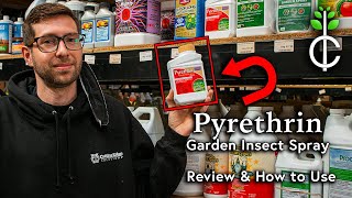 Pyrethrin Garden Insect Spray Review and How to Apply [upl. by Negroj]