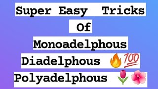 Super Easy Tricks Of Monoadelphous Diadelphous amp Polyadelphous [upl. by Ahcsropal531]