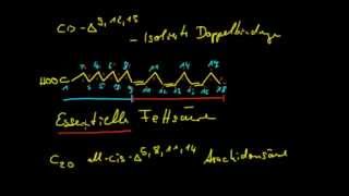 Organische Chemie 13 Fettsäuren 1  Einführung [upl. by Charie129]