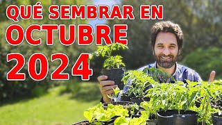 Calendario de Siembra 2024 Que sembrar en OCTUBRE en el Huerto de Otoño y de Primavera [upl. by Idell730]