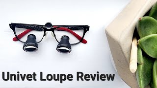 Univet 30x Loupe Review do you need more [upl. by Pearson]