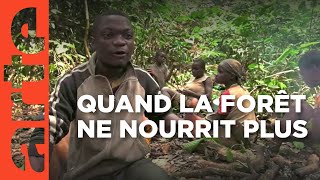 Cameroun  la terreur verte  ARTE Reportage [upl. by Leahsim620]