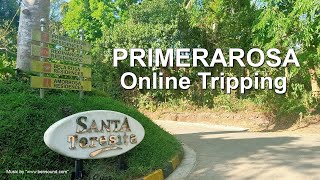 Primerarosa Online Tripping I [upl. by Barde222]