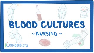 Blood cultures Clinical Nursing Care [upl. by Vange]