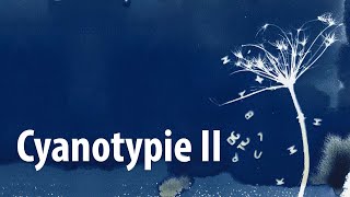 Cyanotypie II – Belichten entwickeln und fixieren [upl. by Ordnassela8]