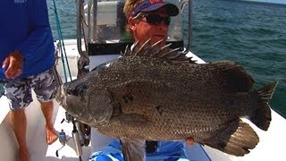 Tripletail Fishing the Buoy Line off St Augustine Florida [upl. by Demott]