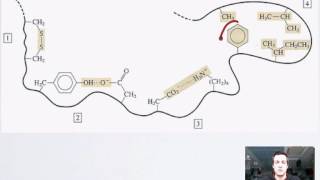 4 Tertiary Structure [upl. by Ynnij]