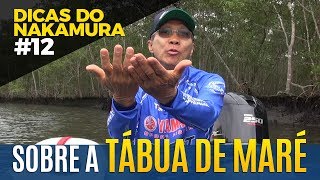 TÁBUA DE MARÉ  EFEITO DOS VENTOS DICAS DO NAKAMURA 12 [upl. by Nevile718]