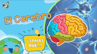 UTILIZANDO AMBOS HEMISFERIOS DEL CEREBRO AL TRAZAR [upl. by Otiv]