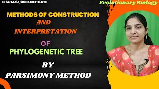 Methods of Construction And Analysis of Phylogenetic Tree by Principle of Parsimony Method bsc 2ndyr [upl. by Ahsinauq441]