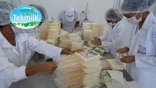 Fabricação do queijo de coalho  Laticínios Várzea  como fabricar queijo de coalho [upl. by Aicssej296]