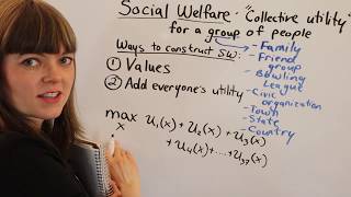 Social Welfare Fn Overview [upl. by Aedni]