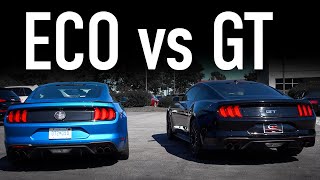 Ford Mustang Ecoboost vs GTTwice The Cylinders Twice As Good [upl. by Amarillis]