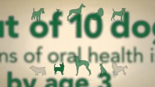 The Ins and Outs of GREENIES® Dental Chews [upl. by Rozele]