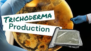 How to produce Trichoderma  Learn with us [upl. by Alberta]