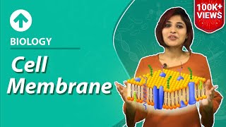 Cell MembranePlasma Membrane  CellStructure amp Function  Biology  Class 9 [upl. by Aketahs]