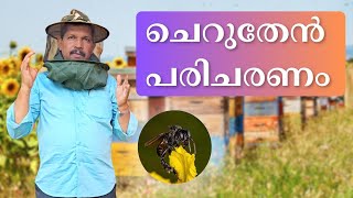 ചെറുതേൻ പരിചരണം  മുൻകരുതൽ എടുക്കേണ്ടവ എന്തൊക്കെ  Beekeeping Training [upl. by Analat]