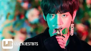 V  FLOWER 꽃 MV FANMADE [upl. by Aleen]