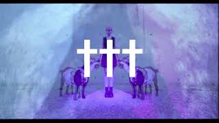 ††† Crosses  Natural Selection Official Visualizer [upl. by Lilian]