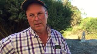 Roger Polkinghorne CharingaGowandale Merino stud talks about the 22nd on property sale [upl. by Eniamahs949]