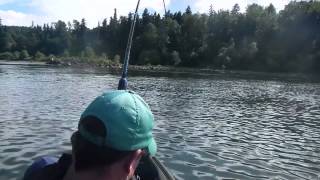 Another giant sturgeon kayak fishing at Meldrum Bar [upl. by Ydwor]