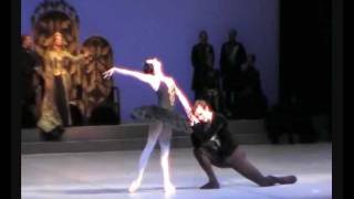 Swan Lake  Edita Rauserova a Adam Zvonar [upl. by Naimed]