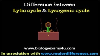 Difference between Lytic and Lysogenic cycle of Bacteriophage [upl. by Misa]