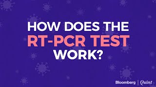 Heres How The RTPCR Test To Detect Covid19 Works [upl. by Guinn]