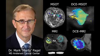 Webinar 042020 MSOT and MRI  Complementary Modalities for Preclinical Imaging [upl. by Anaitit325]