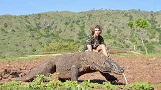 Surviving 24 Hours on KOMODO ISLAND Challenge Komodo Dragon [upl. by Pierre]