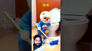 dog floor cleaning funny funnycartoon animatedcartoon [upl. by Oatis]