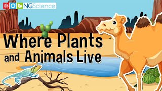 Where Plants and Animals Live [upl. by Alysoun794]